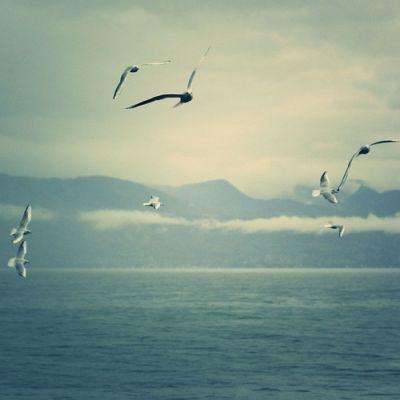 AG大厅网址app下载截图